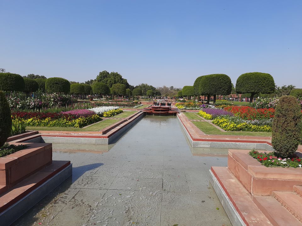 Photo of Mughal Gardens, Rashtrapati Bhawan, President's Estate, New Delhi, Delhi, India by Tenny