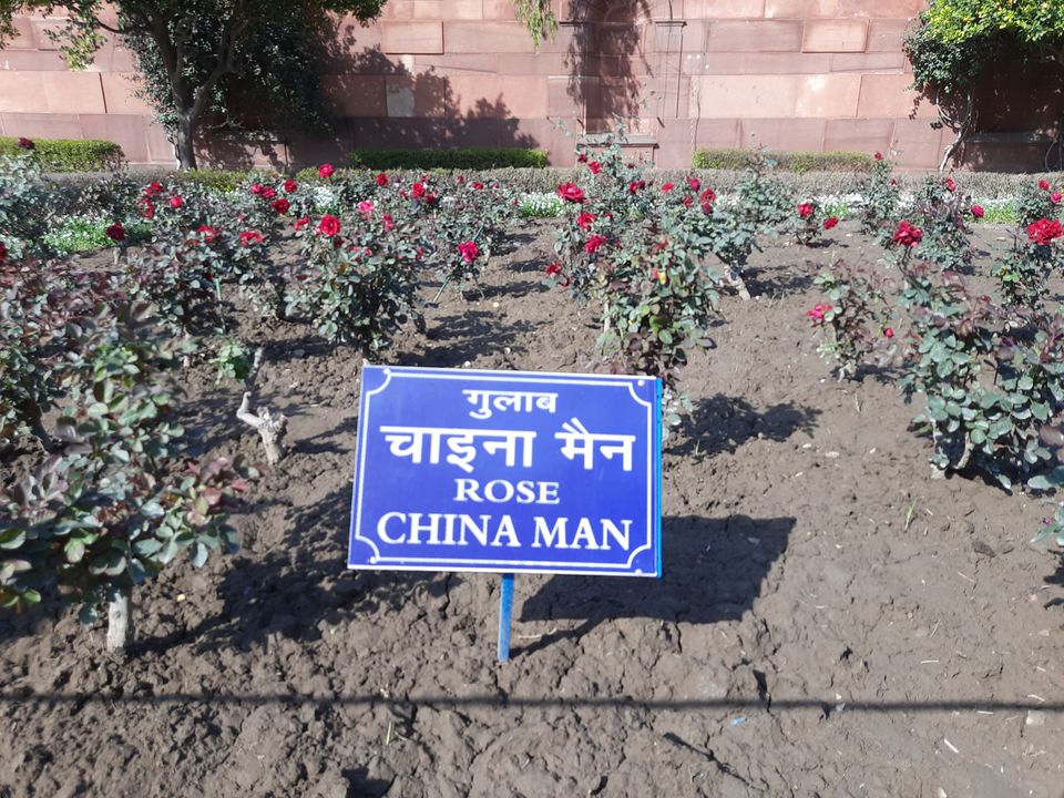 Photo of Mughal Gardens, Rashtrapati Bhawan, President's Estate, New Delhi, Delhi, India by Tenny