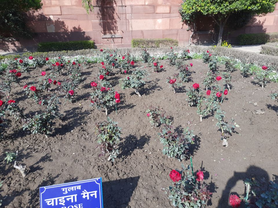Photo of Mughal Gardens, Rashtrapati Bhawan, President's Estate, New Delhi, Delhi, India by Tenny