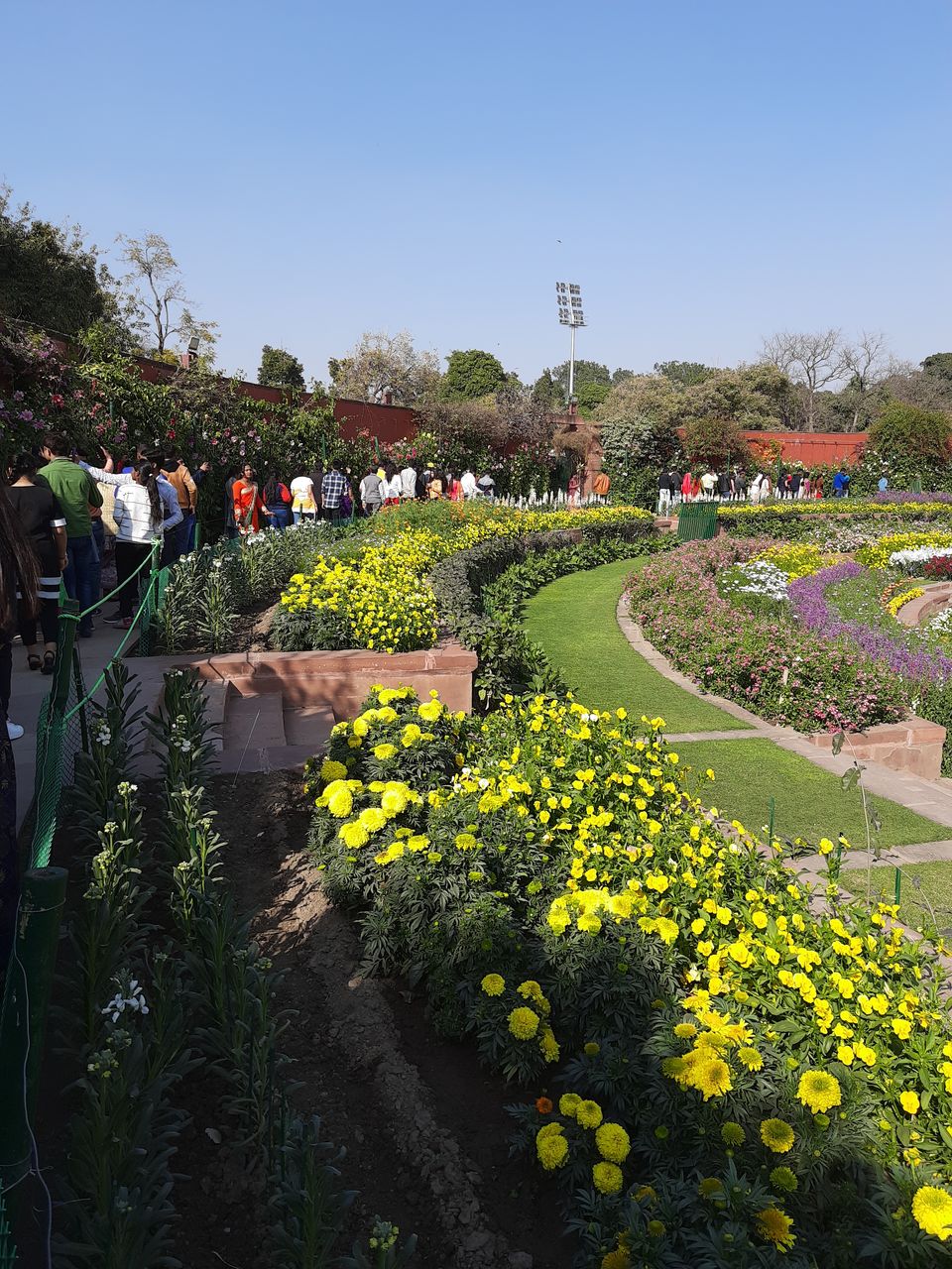 Photo of Mughal Gardens, Rashtrapati Bhawan, President's Estate, New Delhi, Delhi, India by Tenny