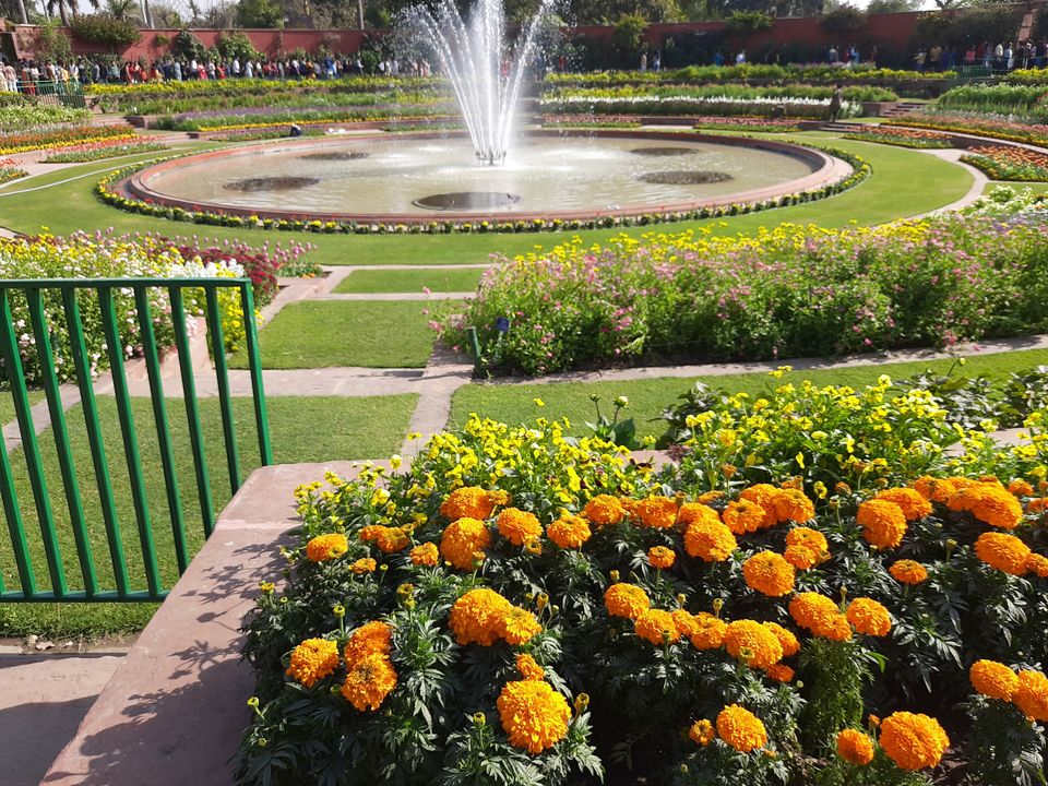 Photo of Mughal Gardens, Rashtrapati Bhawan, President's Estate, New Delhi, Delhi, India by Tenny
