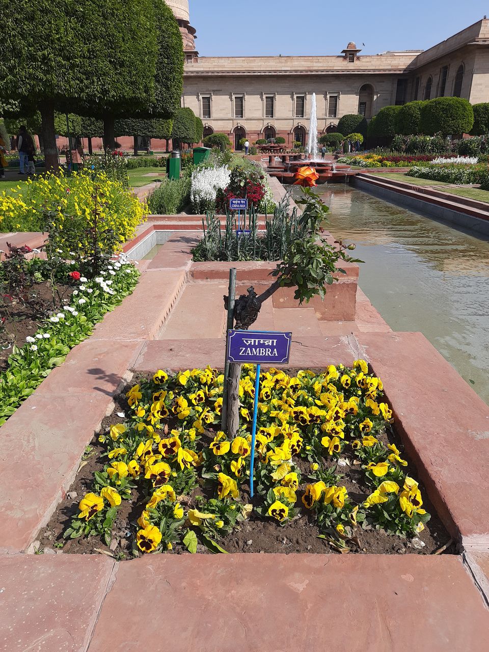 Photo of Mughal Gardens, Rashtrapati Bhawan, President's Estate, New Delhi, Delhi, India by Tenny