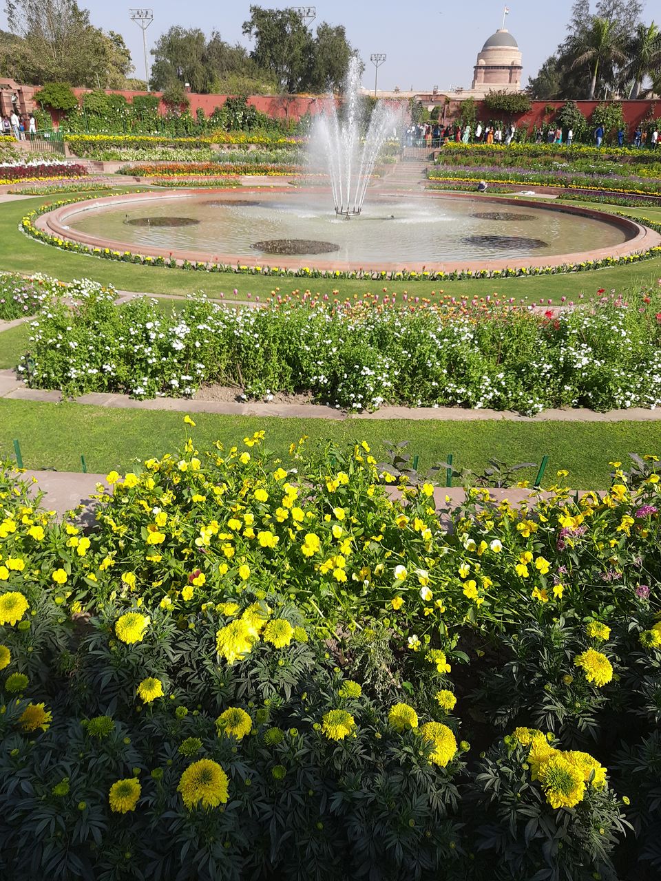 Photo of Mughal Gardens, Rashtrapati Bhawan, President's Estate, New Delhi, Delhi, India by Tenny