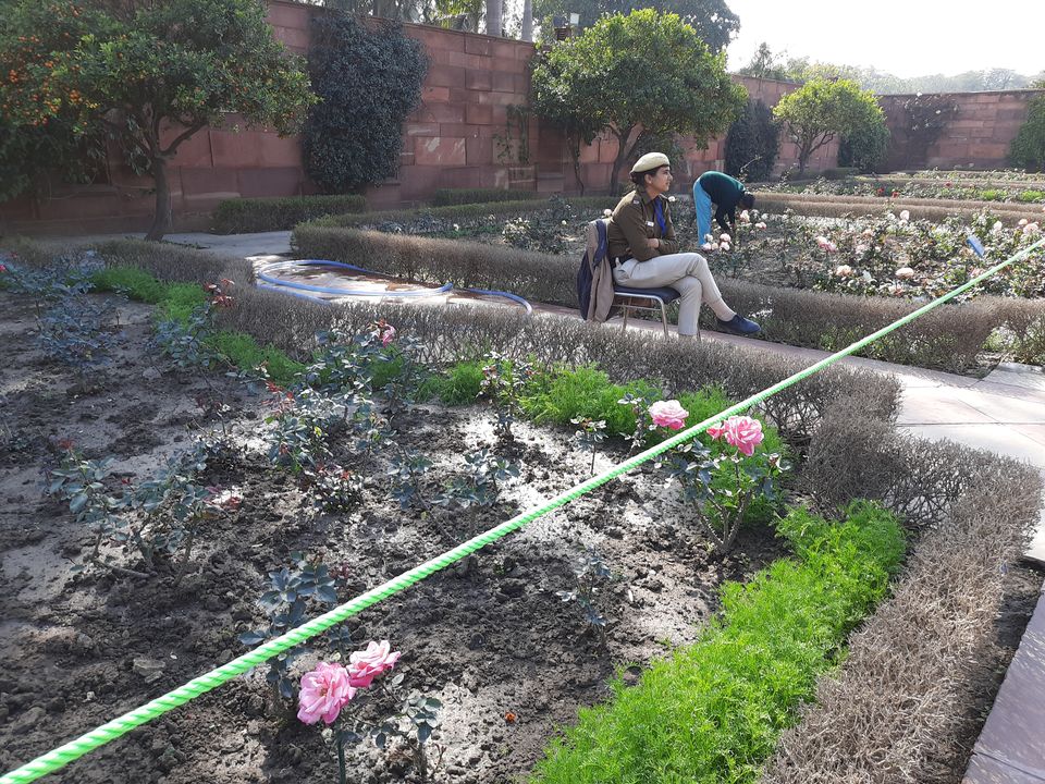 Photo of Mughal Gardens, Rashtrapati Bhawan, President's Estate, New Delhi, Delhi, India by Tenny