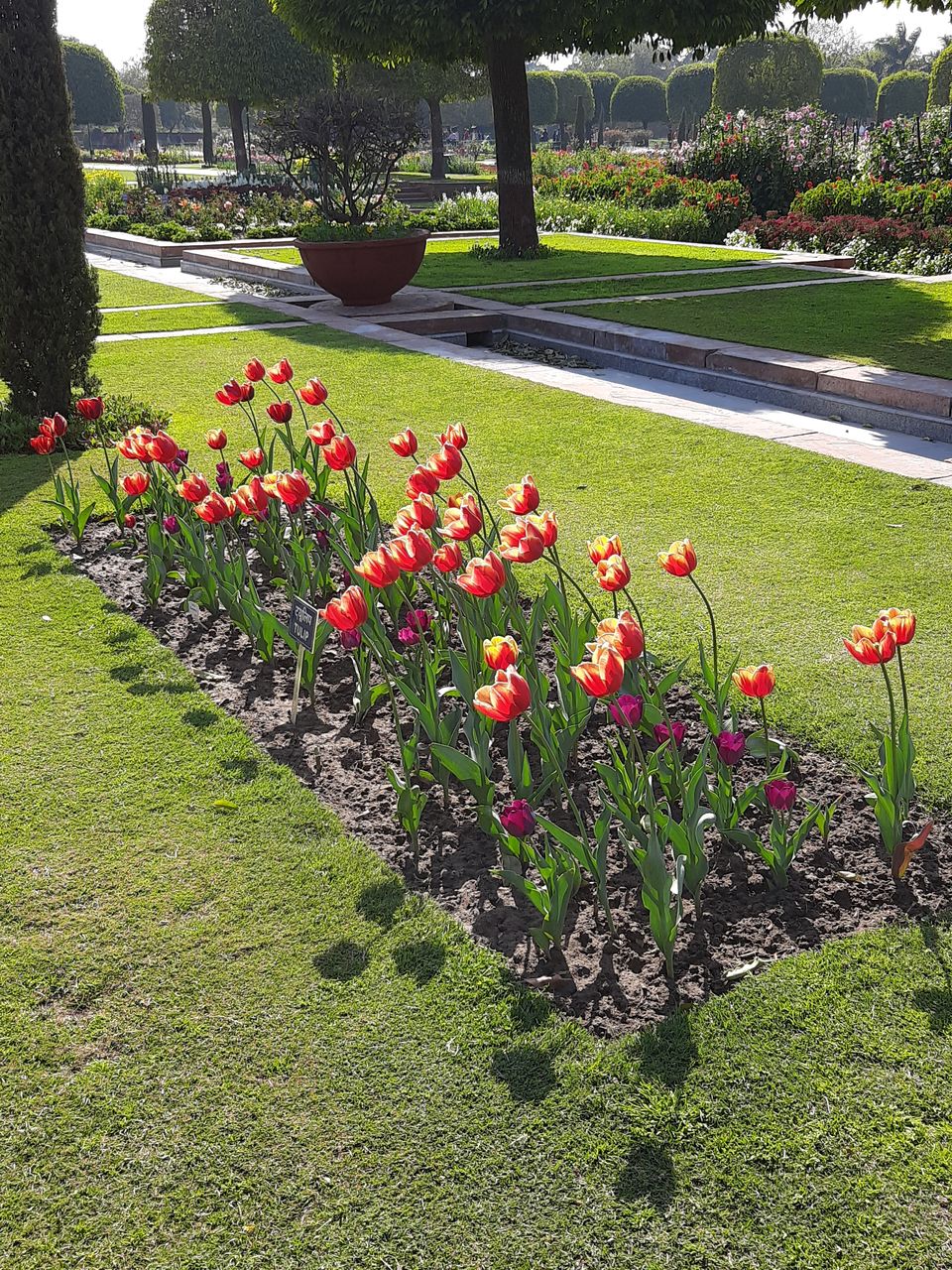 Photo of Mughal Gardens, Rashtrapati Bhawan, President's Estate, New Delhi, Delhi, India by Tenny