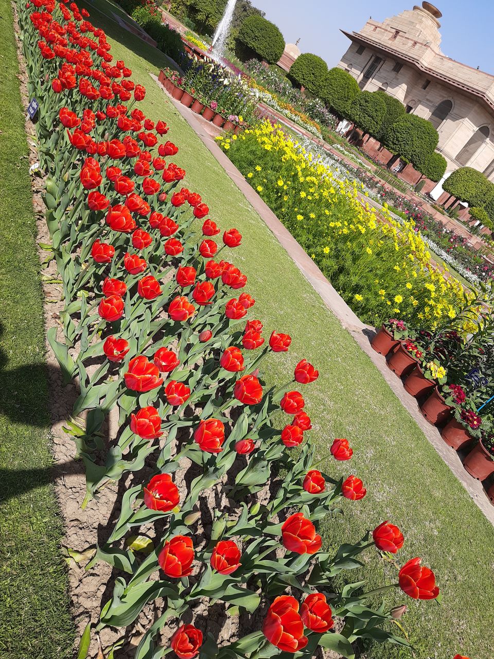 Photo of Mughal Gardens, Rashtrapati Bhawan, President's Estate, New Delhi, Delhi, India by Tenny