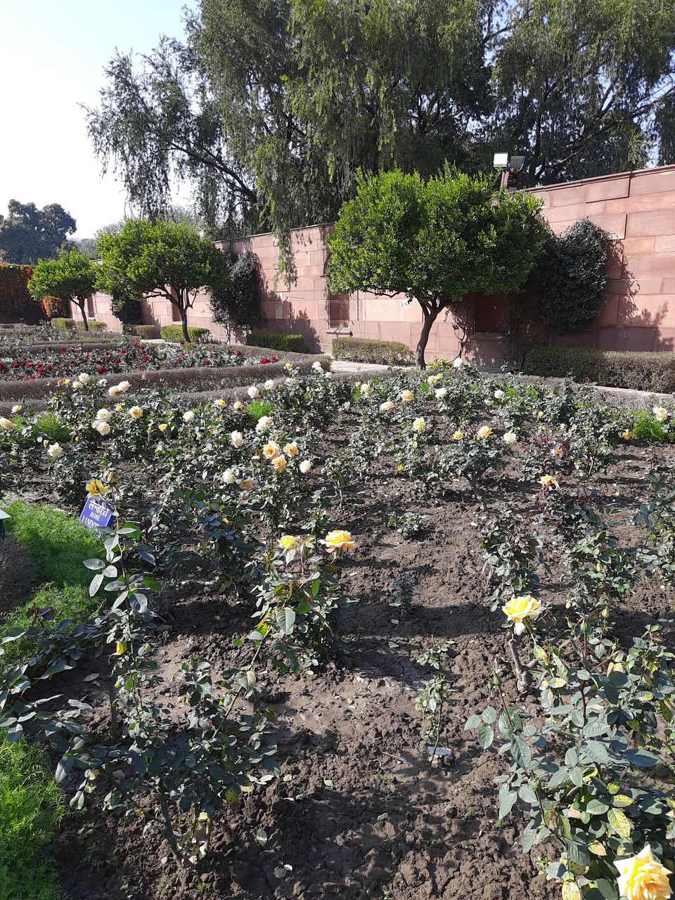Photo of Mughal Gardens, Rashtrapati Bhawan, President's Estate, New Delhi, Delhi, India by Tenny