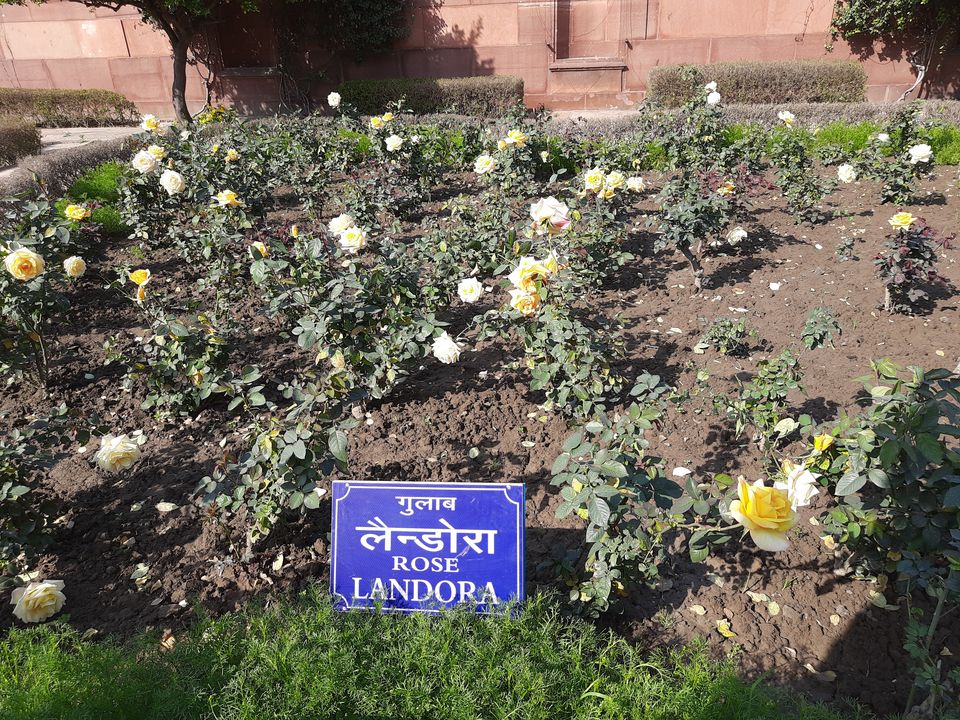 Photo of Mughal Gardens, Rashtrapati Bhawan, President's Estate, New Delhi, Delhi, India by Tenny