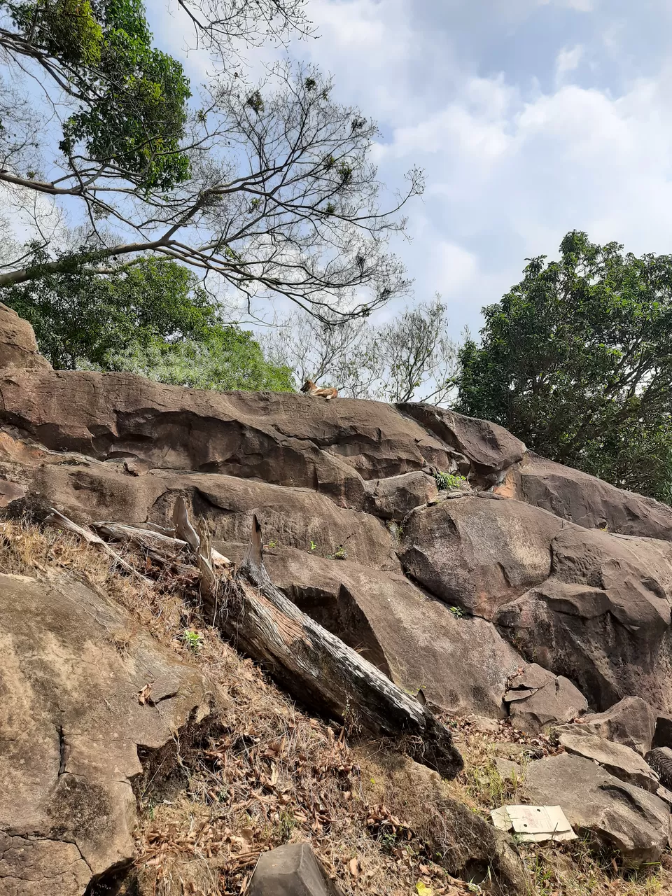 Photo of Unakoti, Tripura, India by Tenny