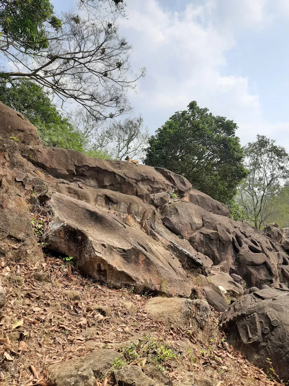 Photo of Unakoti, Tripura, India by Tenny