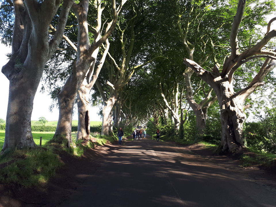 Photo of A Guide to Belfast -Game of Thrones and More! by Nishad Kulkarni