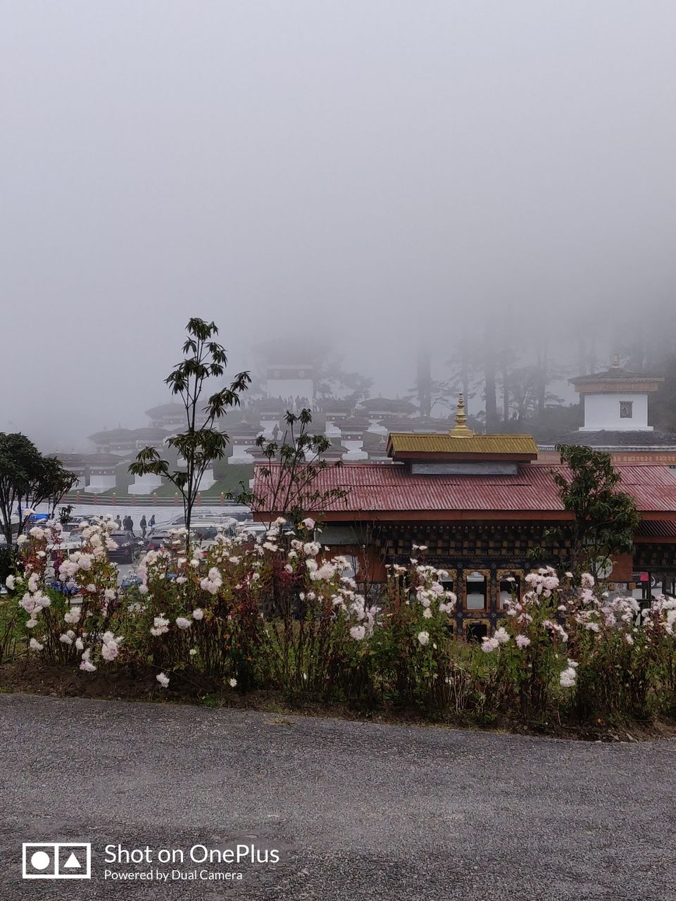 Photo of Bhutan - Heaven on Earth(Budget Trip) by Sanjay Kumar Verma