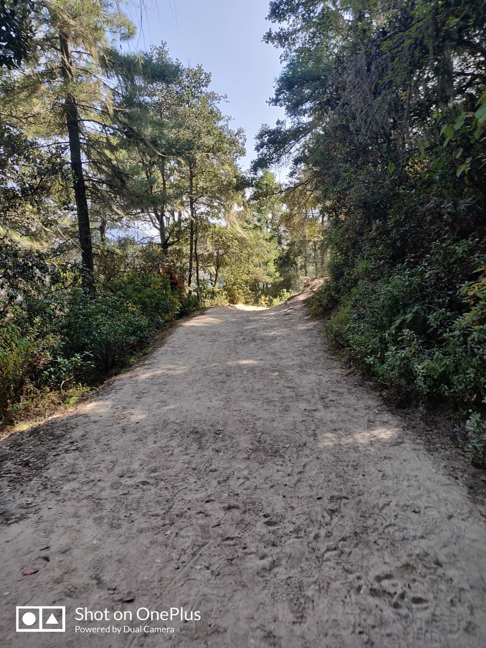 Photo of Bhutan - Heaven on Earth(Budget Trip) by Sanjay Kumar Verma
