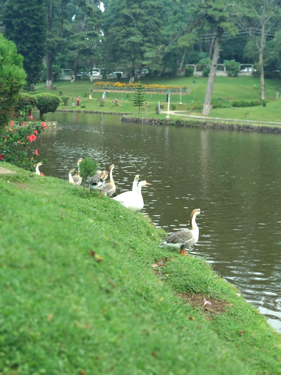 Photo of Shillong, Meghalaya, India by Prajakta Kb