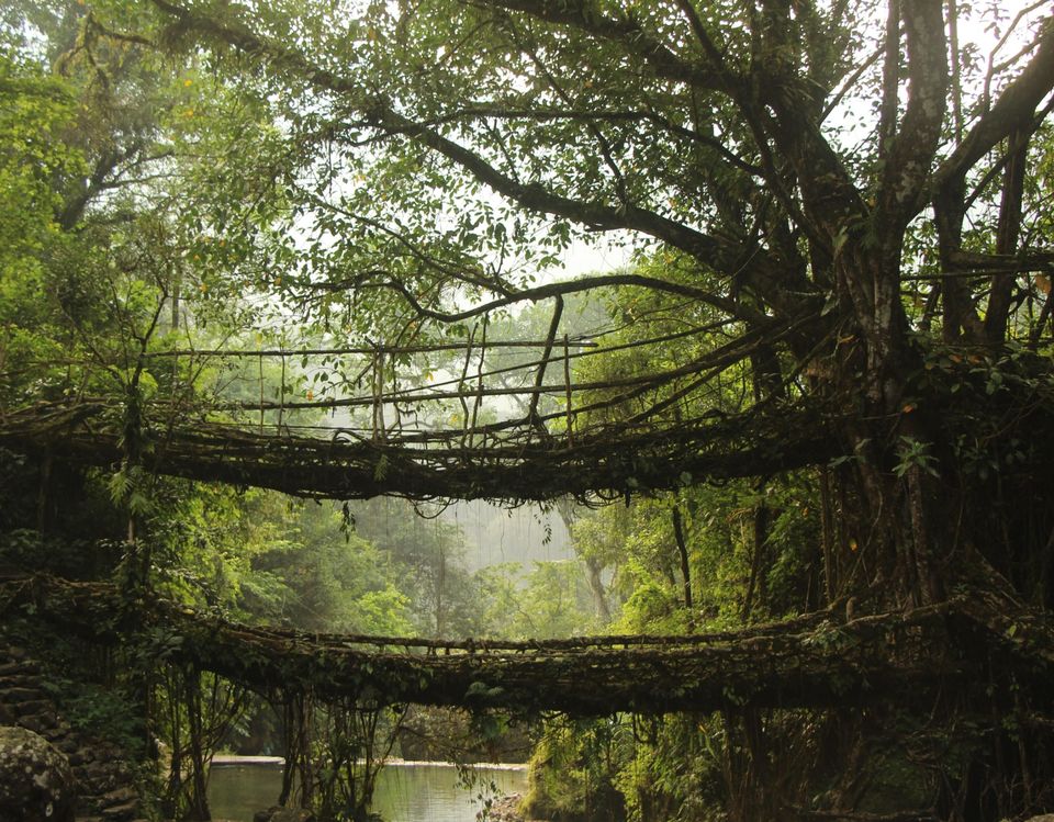 Photo of Nongriat, Meghalaya, India by Prajakta Kb