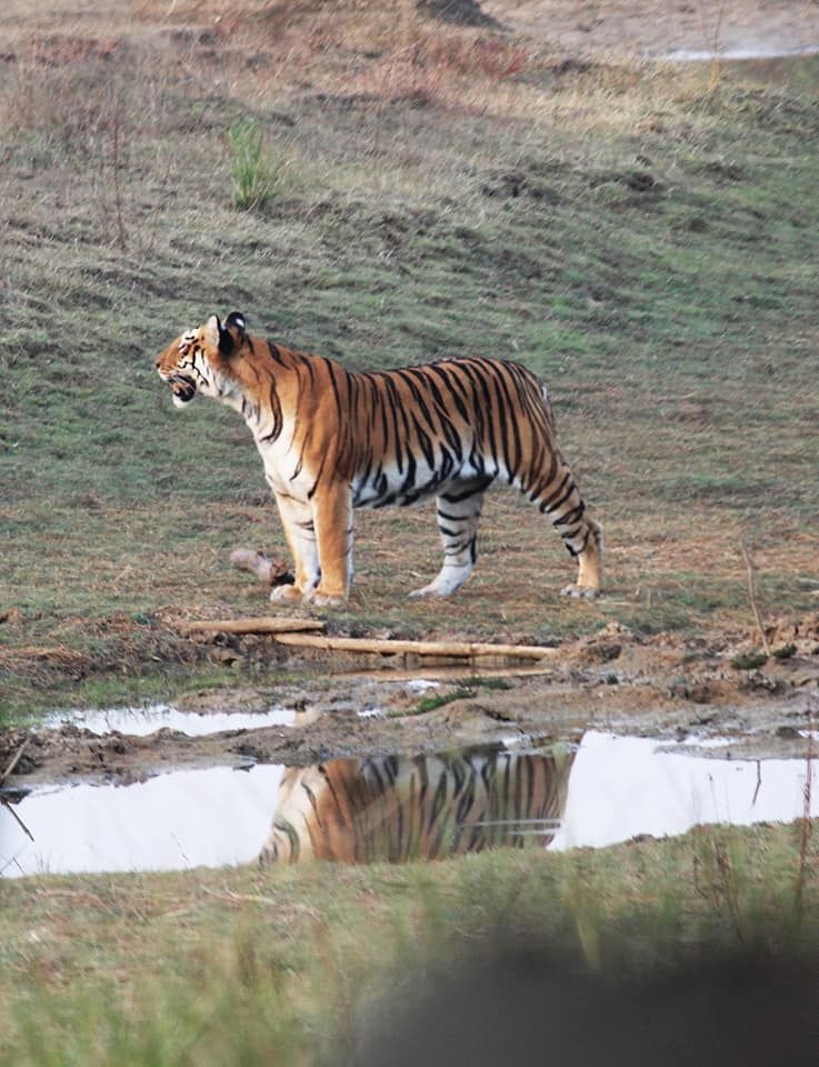 Photo of The Tadoba Story by Prajakta Kb
