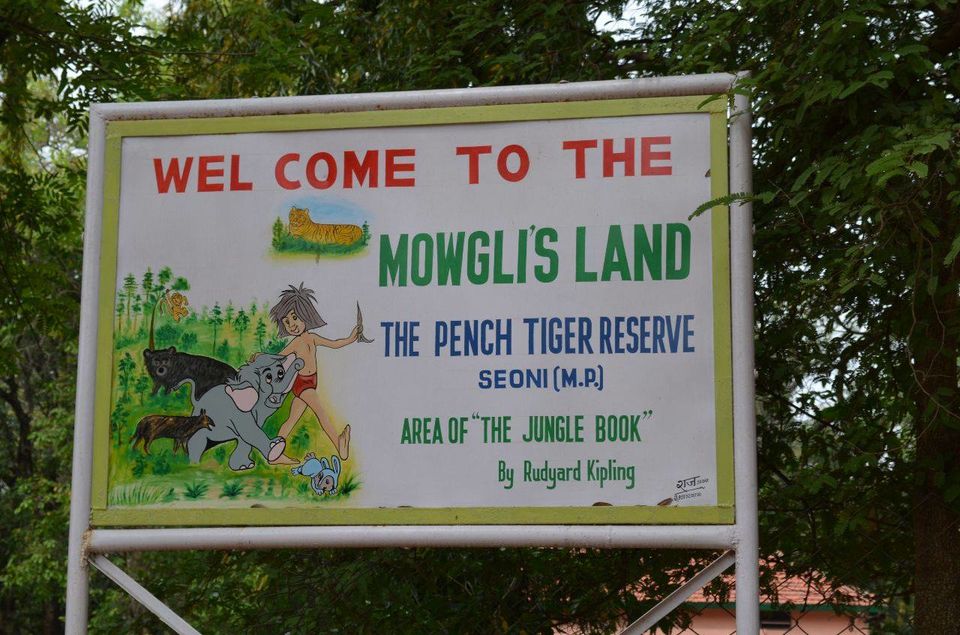 Photo of Pench Tiger Reserve, Seoni, Madhya Pradesh, India by Anurodh Sachdeva
