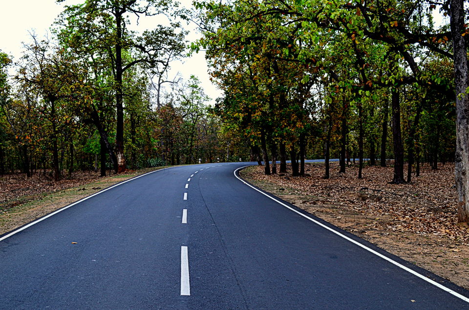 Photo of Pench Tiger Reserve, Seoni, Madhya Pradesh, India by Anurodh Sachdeva