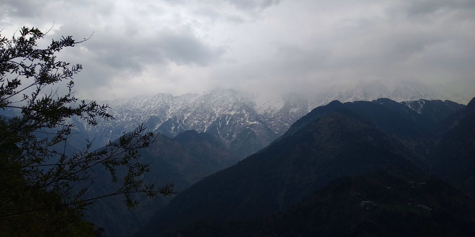 Photo of Dharamshala, Himachal Pradesh, India by Money Sharma