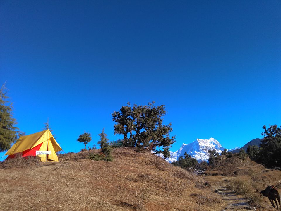 Photo of Statuesque Switzerland of India- Chopta 1/14 by Hemani Sehgal