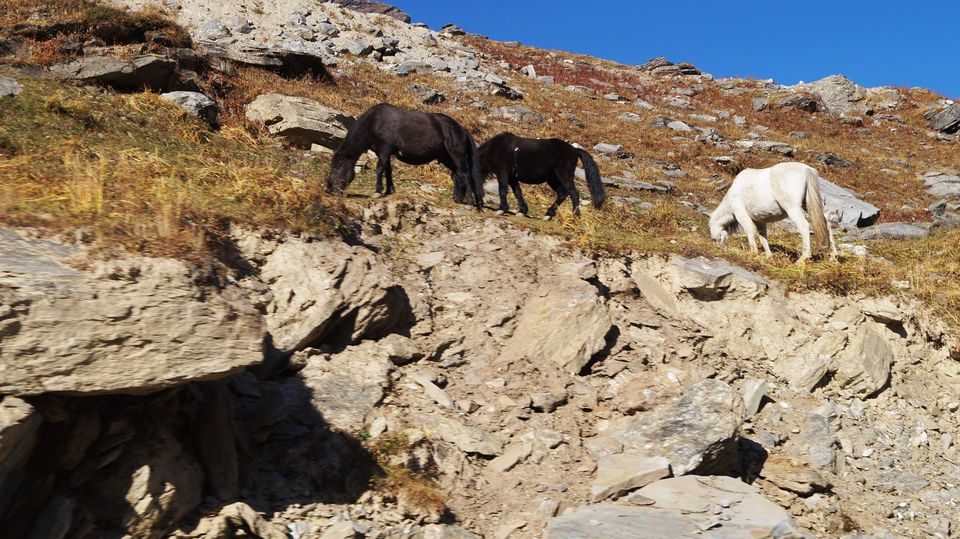 Photo of Spiti And Beyond: The Unpredictable Residues Of The Tethys by Abhinanda Lahiri