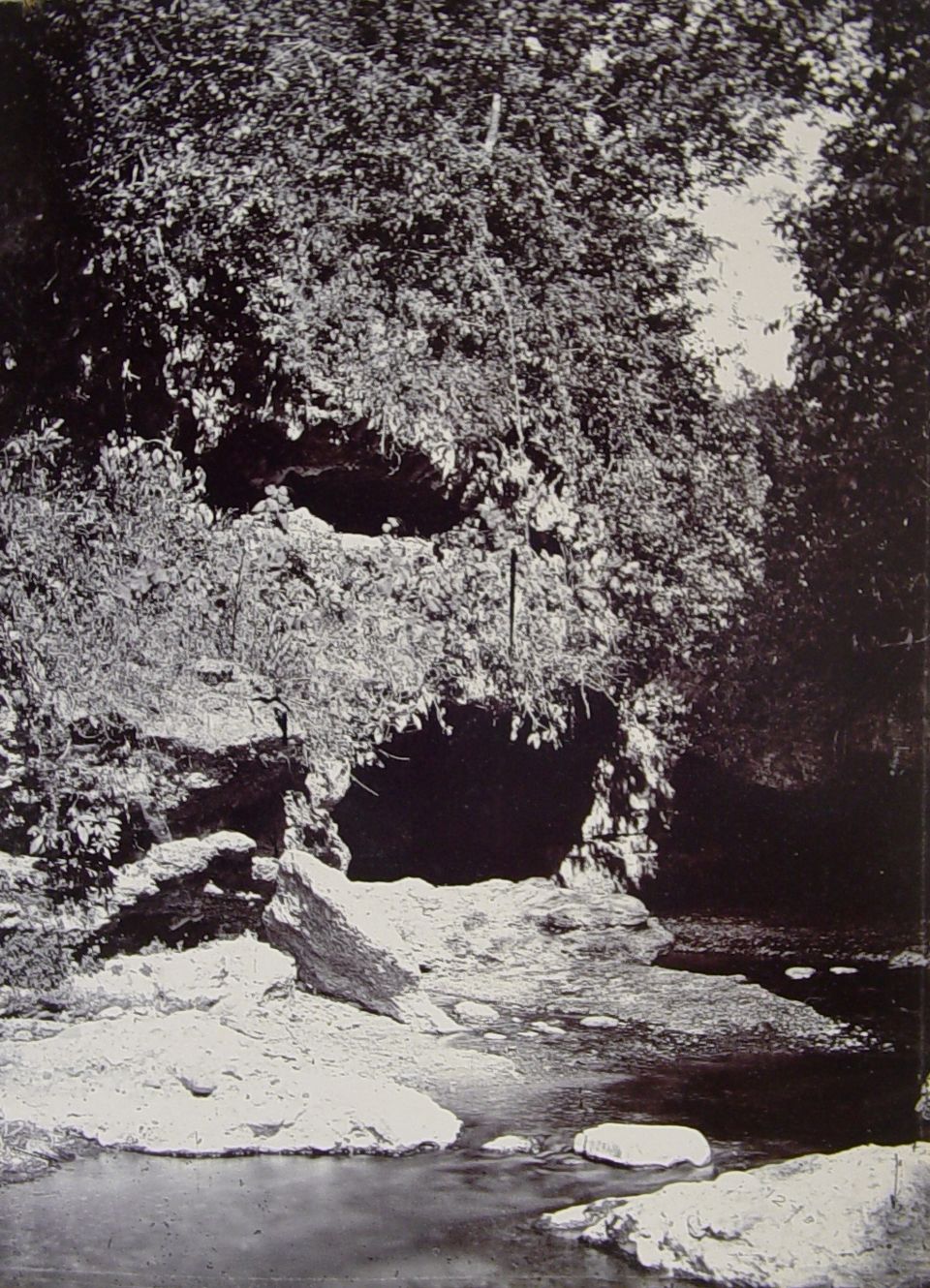Photo of 5. Robber's Cave by Aditi Shukla