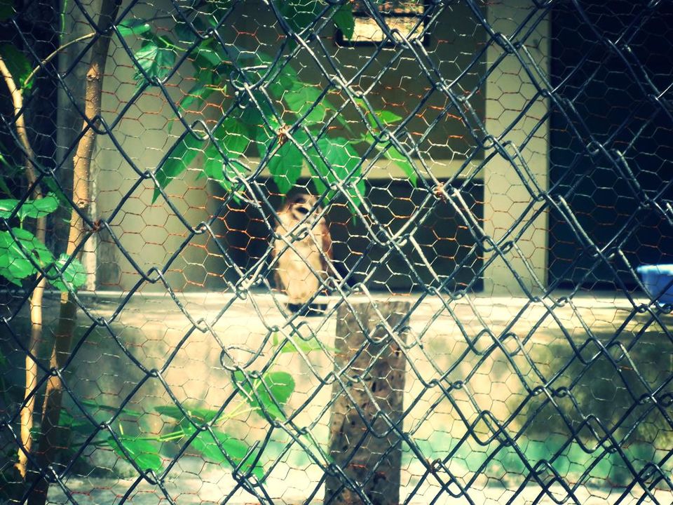 Photo of The 7 Best Things to Do in Dehradun 2/7 by Aditi Shukla