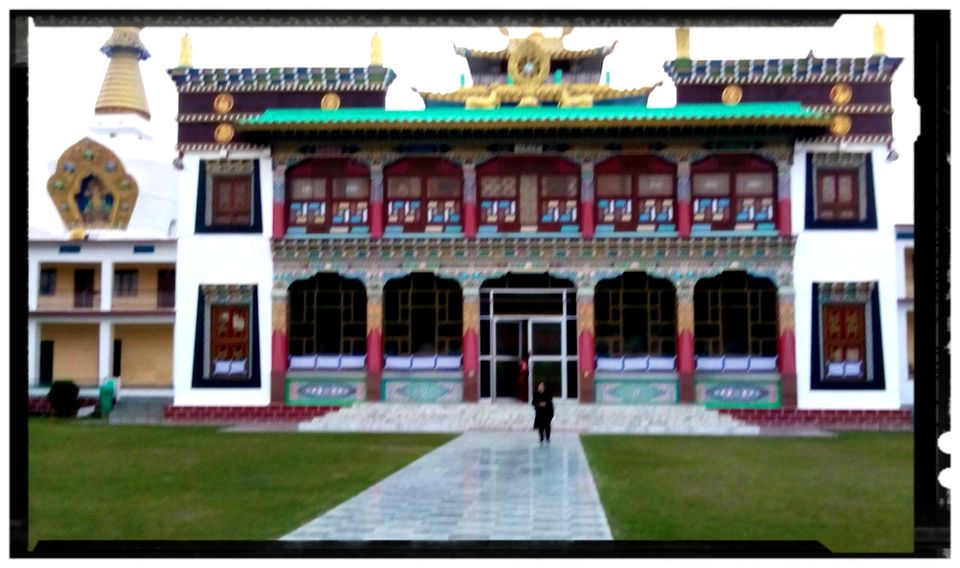 Photo of The 7 Best Things to Do in Dehradun 7/7 by Aditi Shukla