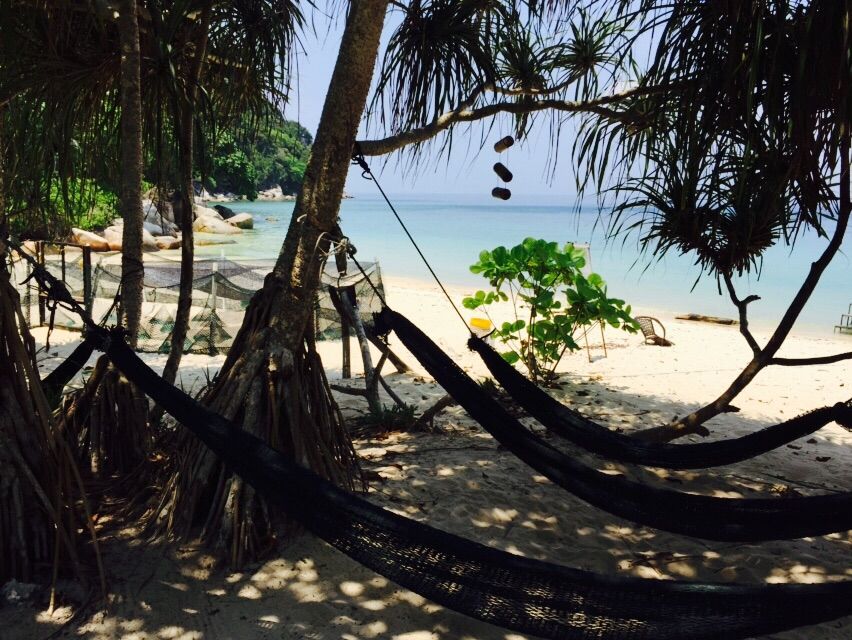 Photo of A trip to the ‘Jewels of the Ocean’ – Perhentian Islands 3/8 by Aditi Shukla