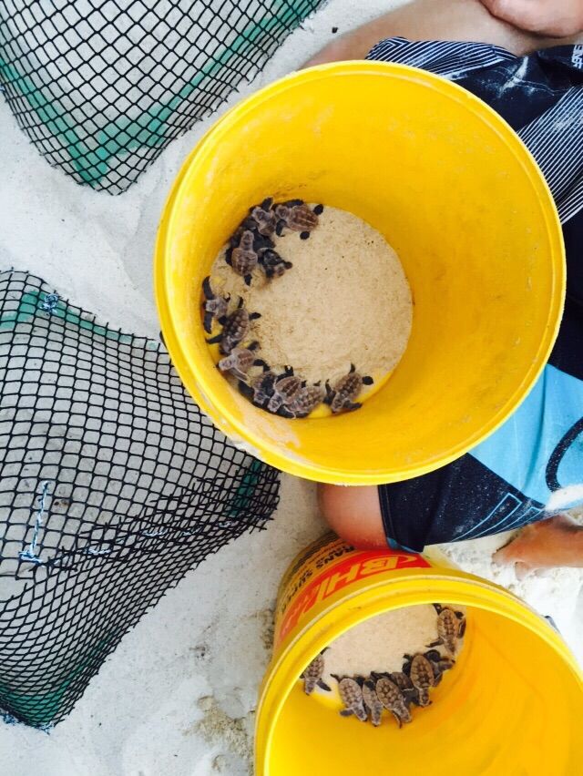 Photo of A trip to the ‘Jewels of the Ocean’ – Perhentian Islands 5/8 by Aditi Shukla