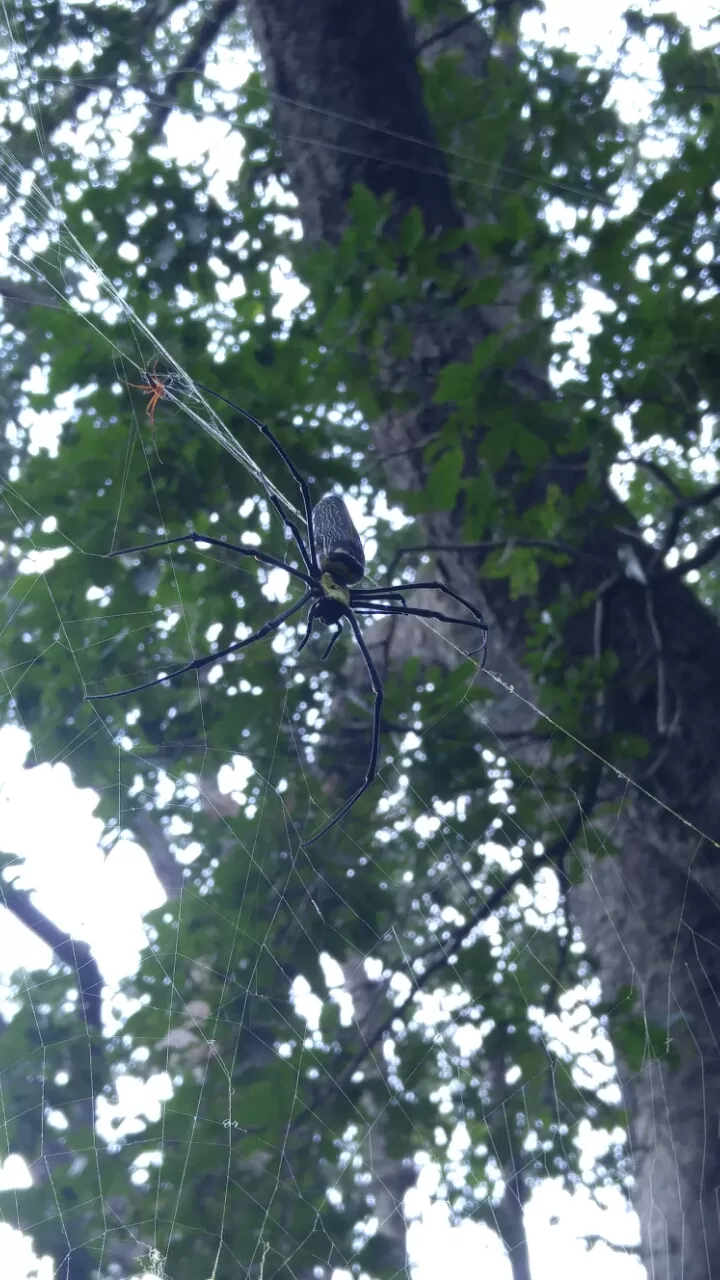 Photo of Karnala, Maharashtra, India by Harshal Bhagwat