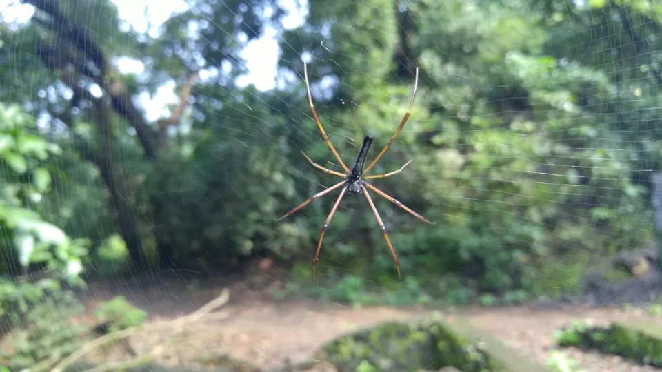 Photo of Karnala, Maharashtra, India by Harshal Bhagwat