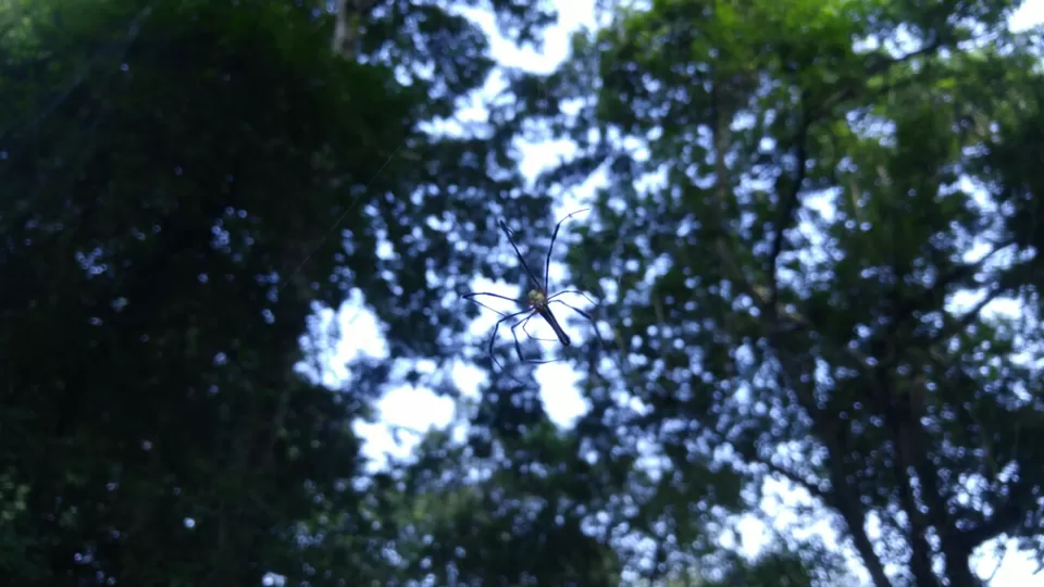 Photo of Karnala, Maharashtra, India by Harshal Bhagwat
