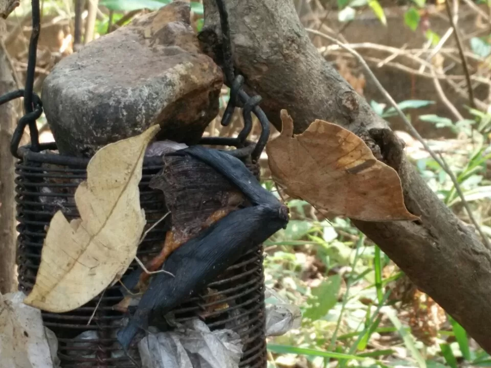 Photo of Ovale Village by Harshal Bhagwat