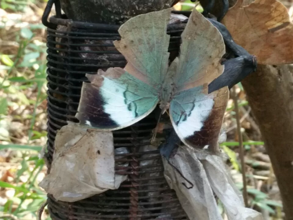 Photo of Ovale Village by Harshal Bhagwat