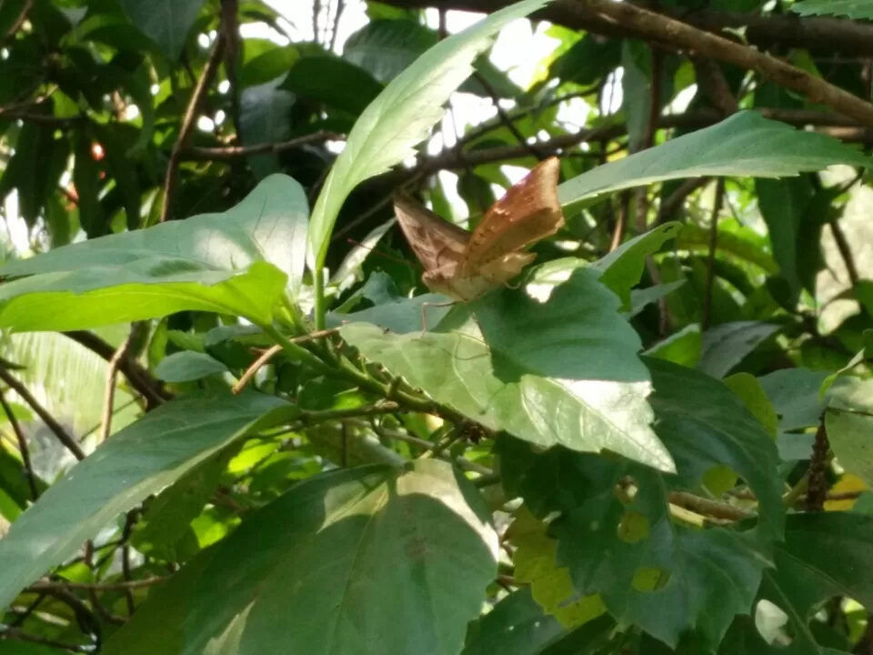 Photo of Ovale Village by Harshal Bhagwat