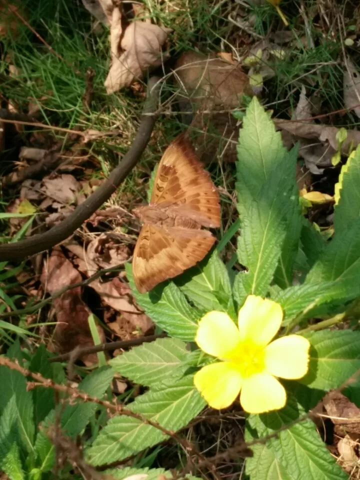 Photo of Ovale Village by Harshal Bhagwat