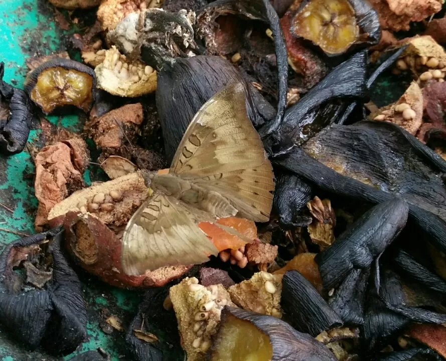 Photo of Ovale Village by Harshal Bhagwat