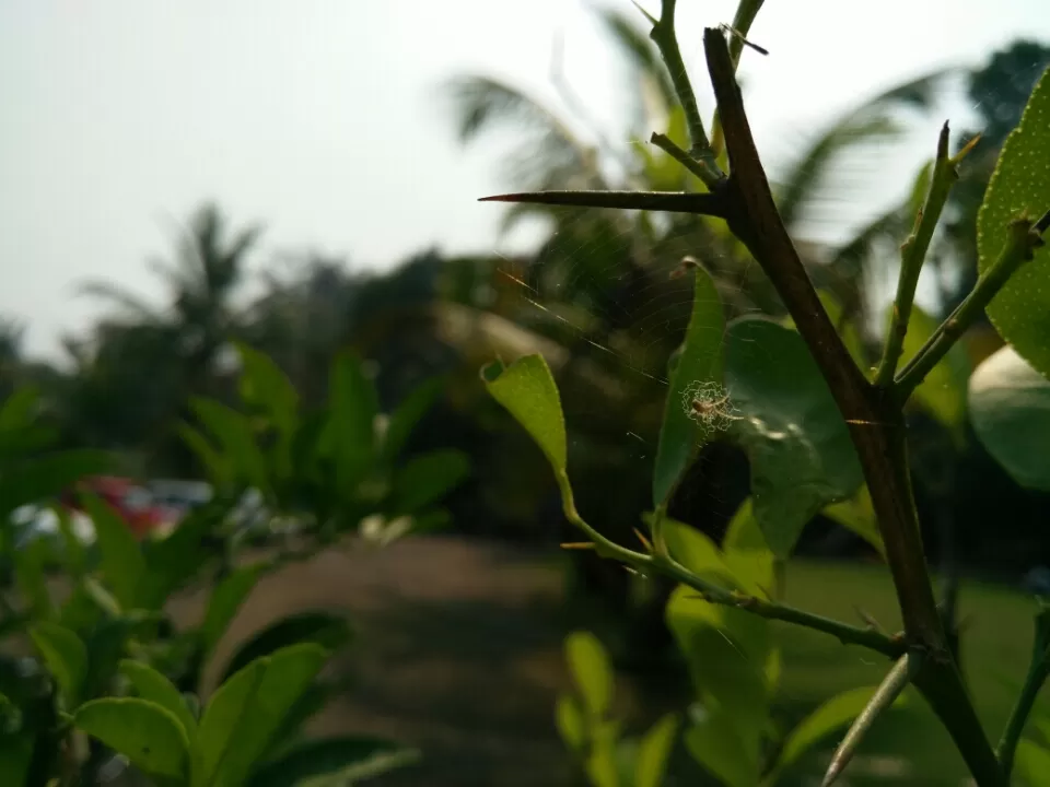 Photo of Ovale Village by Harshal Bhagwat