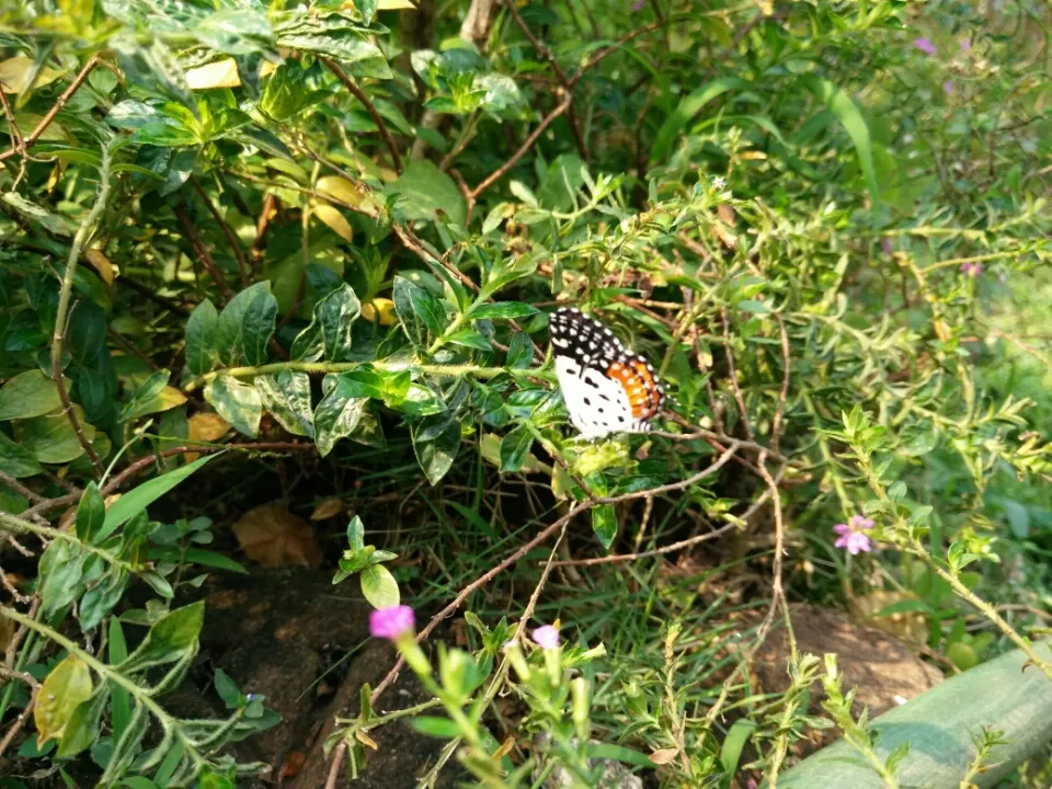 Photo of Ovale Village by Harshal Bhagwat