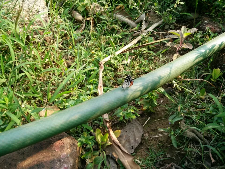 Photo of Ovale Village by Harshal Bhagwat