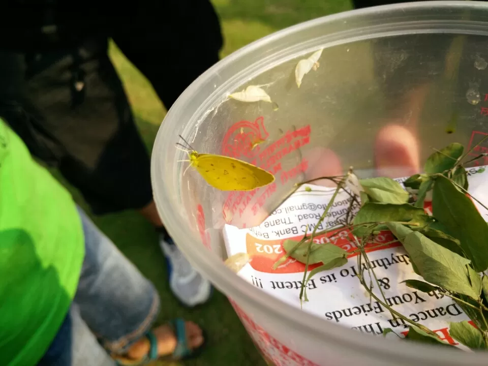 Photo of Ovale Village by Harshal Bhagwat