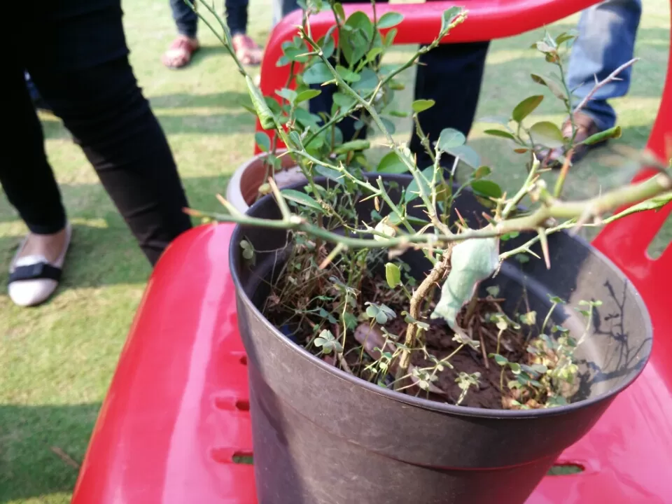 Photo of Ovale Village by Harshal Bhagwat