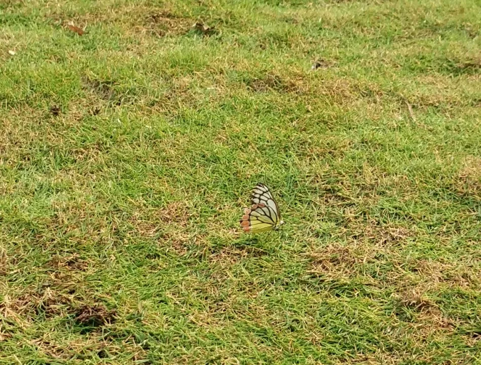 Photo of Ovale Village by Harshal Bhagwat