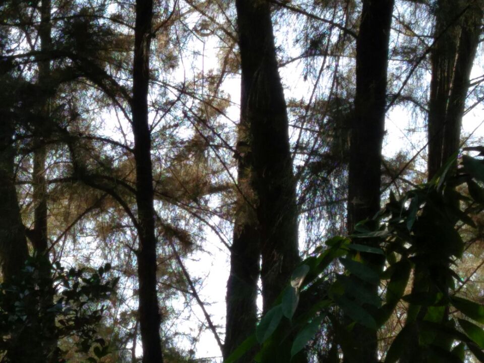 Photo of In the Lap of nature - Maval Srishti, Pune by Harshal Bhagwat
