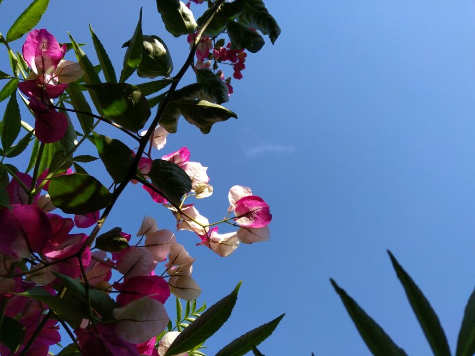 Photo of In the Lap of nature - Maval Srishti, Pune by Harshal Bhagwat