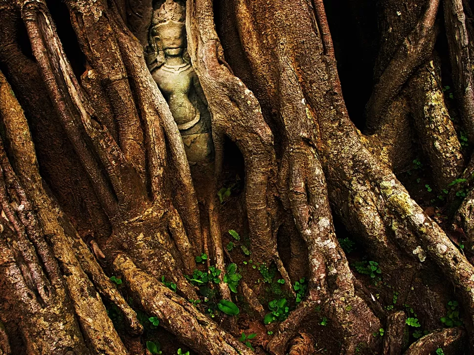 Photo of The temples of Angkor - Shiva con Stino by Stino