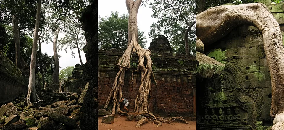 Photo of The temples of Angkor - Shiva con Stino by Stino
