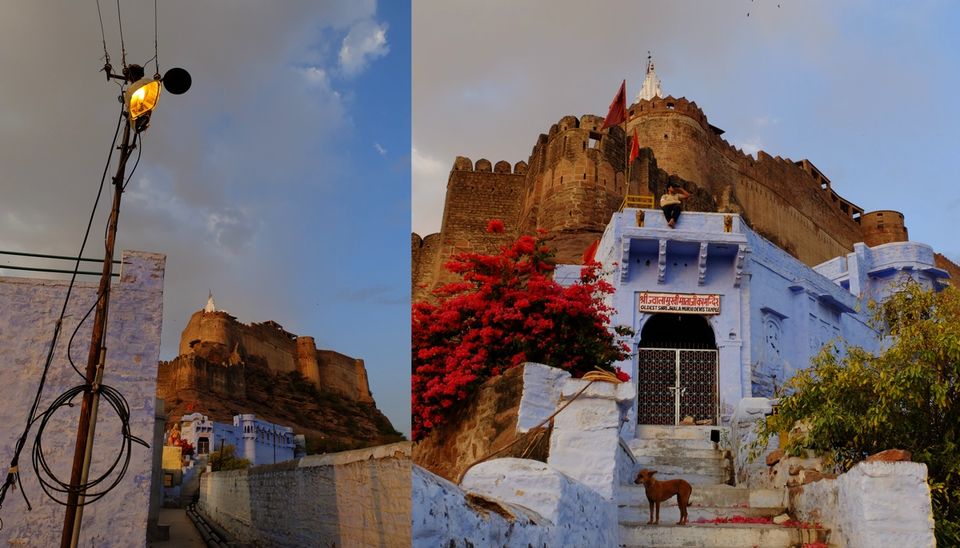 Photo of Jodhpur, Rajasthan, India by Stino