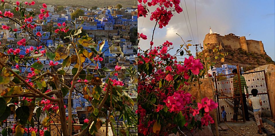 Photo of Jodhpur, Rajasthan, India by Stino